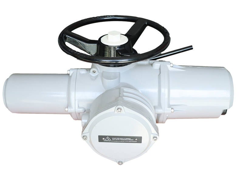 電動執(zhí)行器LM系列